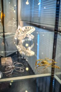 Sonderausstellung Impressionen 9